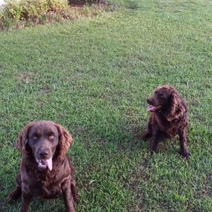 Meet your Posher, Sherry